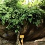 10 Tempat Instagramable di Banjarmasin yang Wajib Masuk Bucket List 27 kotabanjarmasindotcom