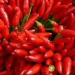 8 Bahaya Makanan Pedas Bagi Kesehatan Cek Disini 12 kotabanjarmasindotcom