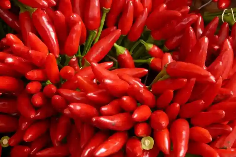 8 Bahaya Makanan Pedas Bagi Kesehatan Cek Disini 12 kotabanjarmasindotcom