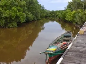 banjarmasin, kota banjarmasin, wisata banjarmasin, kuliner banjarmasin, sejarah banjarmasin, sungai di banjarmasin, pasar terapung banjarmasin, tempat wisata di banjarmasin, oleh-oleh khas banjarmasin, banjarmasin kota seribu sungai, wisata sungai banjarmasin, pasar terapung lok baintan, wisata religi banjarmasin, siring sungai martapura, masjid sultan suriansyah, kampung sasirangan, taman siring, museum wasaka, pulau kembang, wisata malam banjarmasin, soto banjar, nasi itik gambut, ketupat kandangan, kue khas banjar, es cincau banjarmasin, warung makan enak di banjarmasin, tempat kuliner malam banjarmasin, restoran seafood banjarmasin, kopi khas banjarmasin, street food banjarmasin, budaya banjar, bahasa banjar, sasirangan banjarmasin, tradisi banjar, festival budaya banjarmasin, musik tradisional banjar, tarian tradisional banjarmasin, pakaian adat banjar, upacara adat banjar, kerajinan khas banjarmasin, berita banjarmasin 2025, informasi banjarmasin terbaru, update banjarmasin hari ini, berita terkini banjarmasin, kota banjarmasin dalam berita