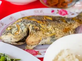 banjarmasin, kota banjarmasin, wisata banjarmasin, kuliner banjarmasin, sejarah banjarmasin, sungai di banjarmasin, pasar terapung banjarmasin, tempat wisata di banjarmasin, oleh-oleh khas banjarmasin, banjarmasin kota seribu sungai, wisata sungai banjarmasin, pasar terapung lok baintan, wisata religi banjarmasin, siring sungai martapura, masjid sultan suriansyah, kampung sasirangan, taman siring, museum wasaka, pulau kembang, wisata malam banjarmasin, soto banjar, nasi itik gambut, ketupat kandangan, kue khas banjar, es cincau banjarmasin, warung makan enak di banjarmasin, tempat kuliner malam banjarmasin, restoran seafood banjarmasin, kopi khas banjarmasin, street food banjarmasin, budaya banjar, bahasa banjar, sasirangan banjarmasin, tradisi banjar, festival budaya banjarmasin, musik tradisional banjar, tarian tradisional banjarmasin, pakaian adat banjar, upacara adat banjar, kerajinan khas banjarmasin, berita banjarmasin 2025, informasi banjarmasin terbaru, update banjarmasin hari ini, berita terkini banjarmasin, kota banjarmasin dalam berita